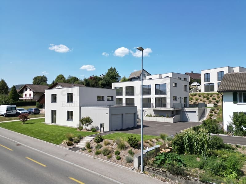 Modernes DEFH Neubauprojekt mit Terrasse und Balkon in Safenwil (2)