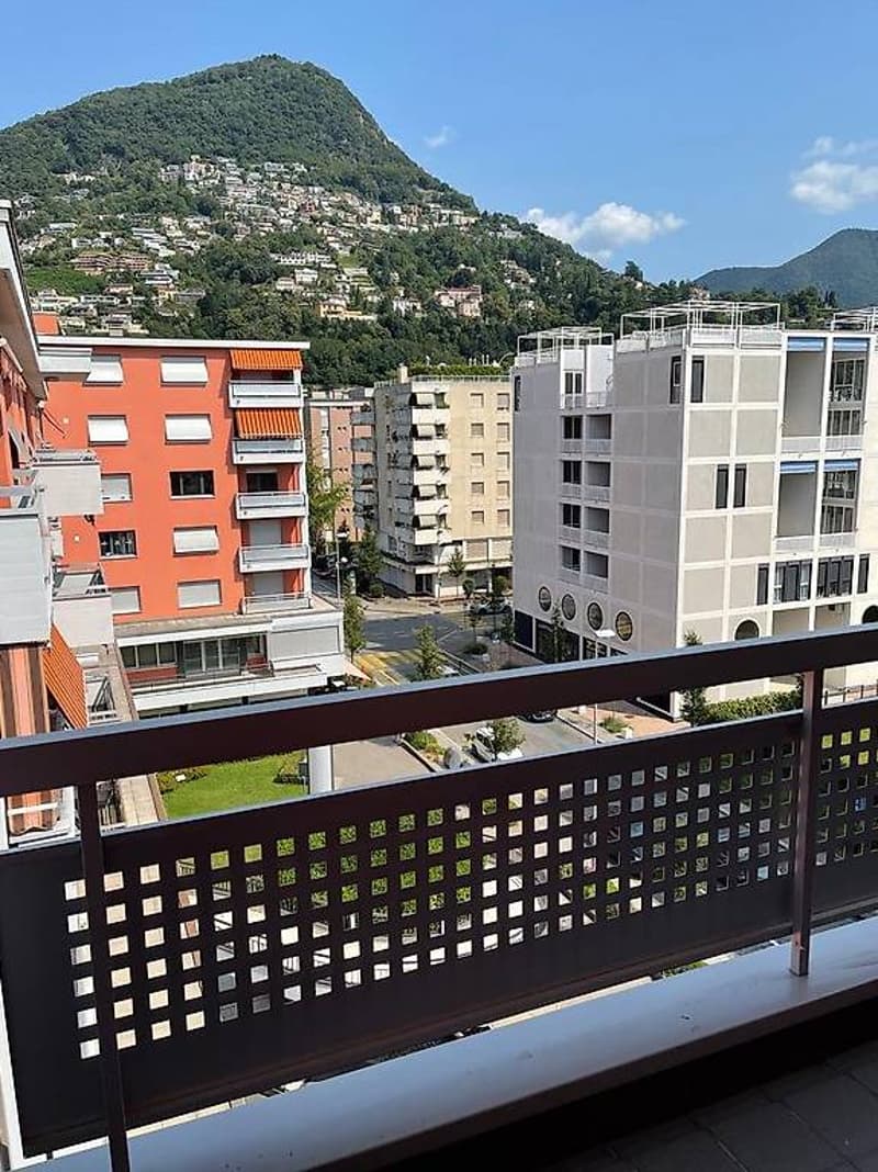 Affittasi appartamento 2.5 loc molto luminoso - 5 ed ultimo (5)