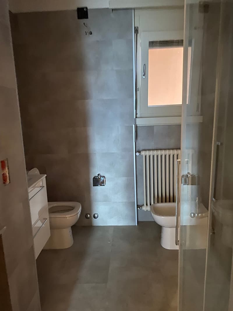 small bathroom with shower, toilet, sink, and radiator