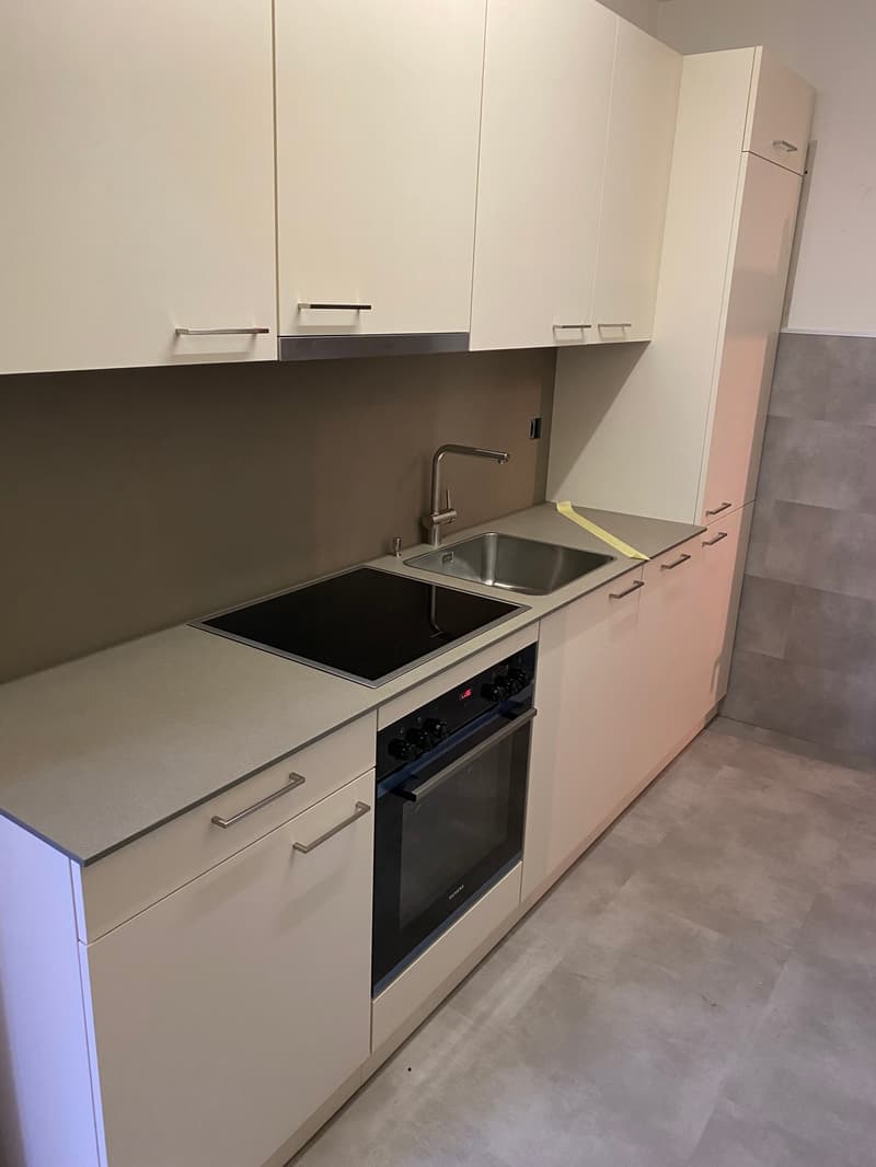 modern kitchen, white cabinets, silver appliances, induction cooktop, built-in oven, dishwasher, sink, faucet