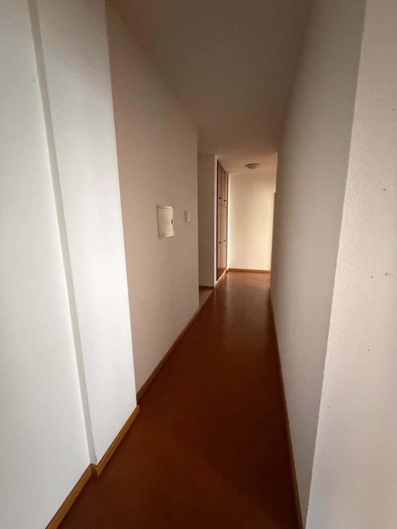white walls, wooden flooring, ceiling lamp, two doors on left side, a box on the wall