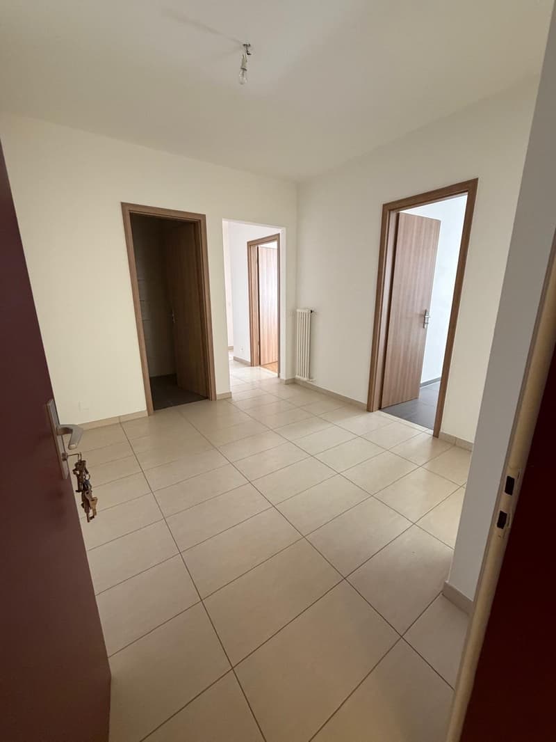 Luminoso appartamento di 4.5 locali con balcone a Lugano – Disponibile subito (1)