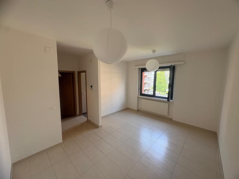 Appartamento 1.5 locali in affitto a Lugano – Via Maggio 21 (1)