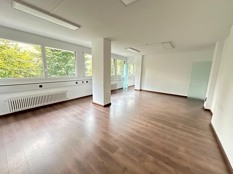 empty room, wooden floor, white walls, large windows, radiator, ceiling lights
