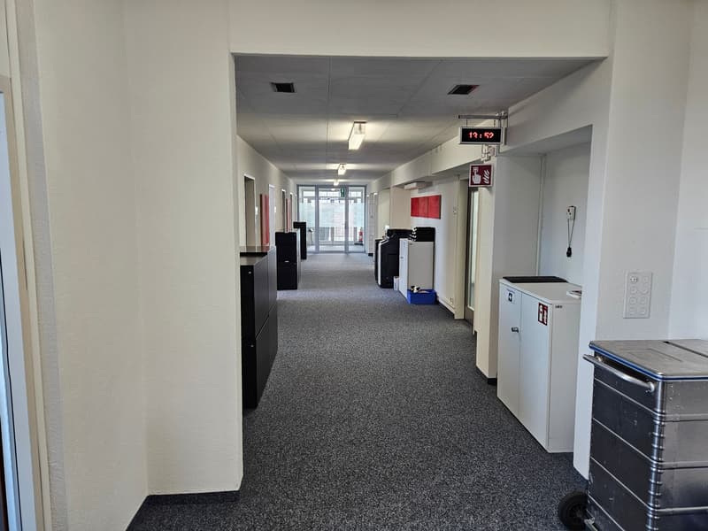 Flexible Mietflächen (530–2’650 m²) an einer der besten Lagen (6)