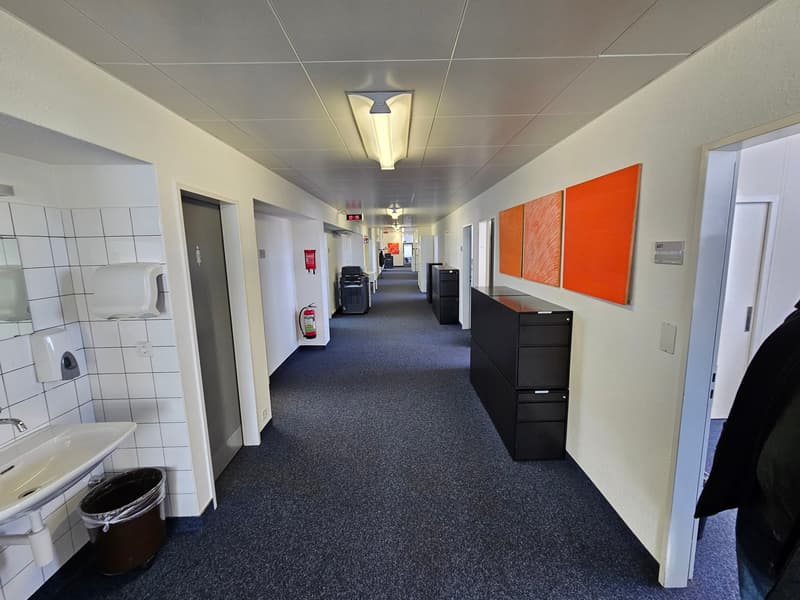 Flexible Mietflächen (530–2’650 m²) an einer der besten Lagen (10)