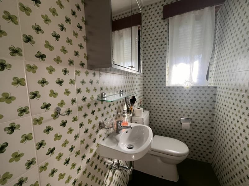 LOSONE - CASA BIFAMILIARE CON GRANDE GIARDINO (12)