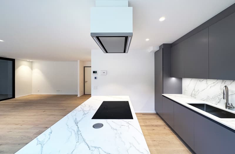 Ultimo ed imperdibile 4.5 locali in nuova residenza (5)