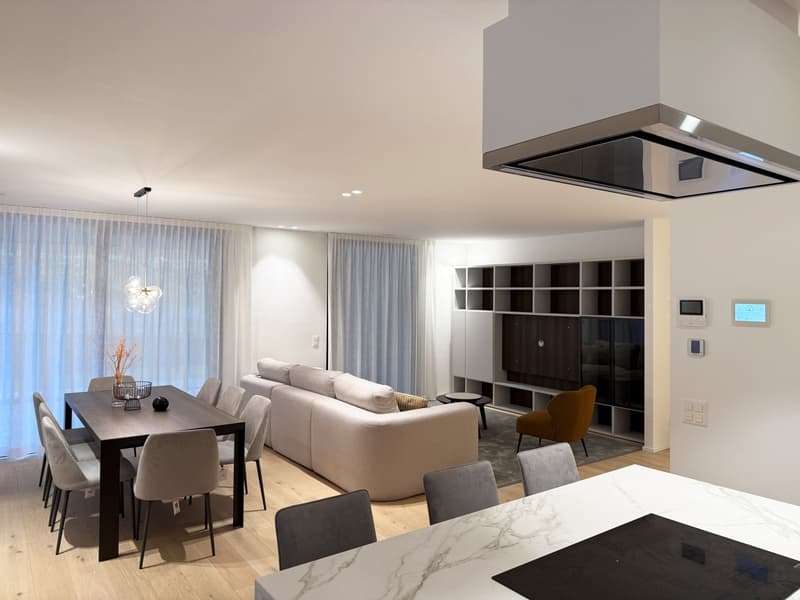Ultimo ed imperdibile 4.5 locali in nuova residenza (2)