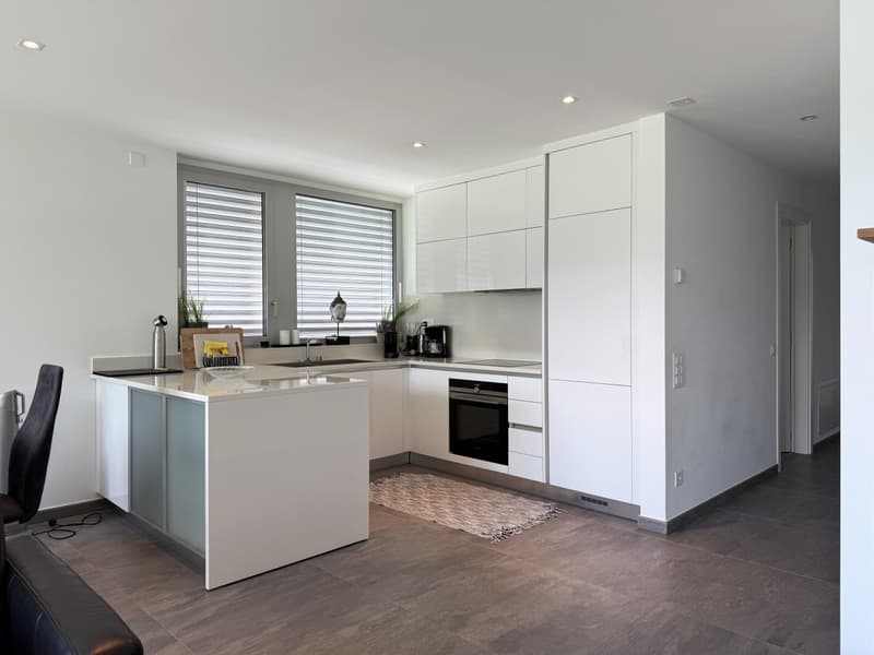Appartamento 3.5 locali con meravigliosa vista lago (2)