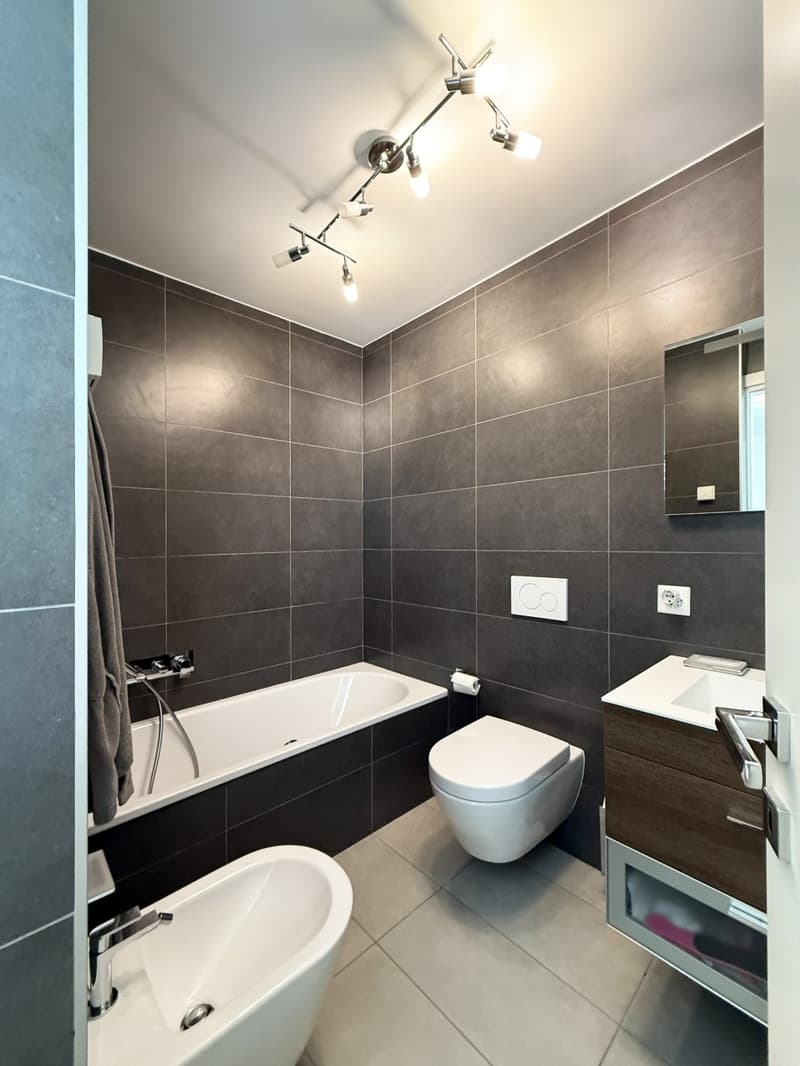 Appartamento 3.5 locali con meravigliosa vista lago (5)