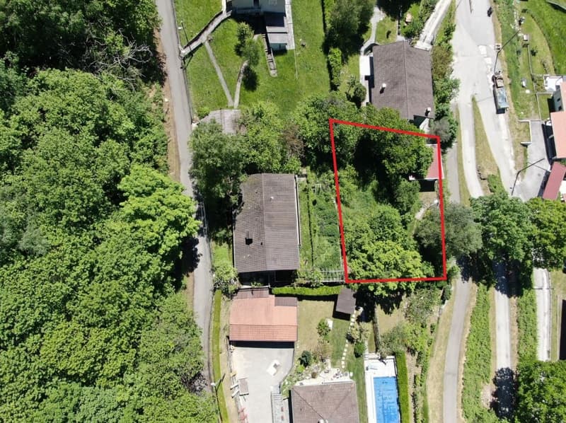 House on elevated plot, surrounded by trees, pool in the corner