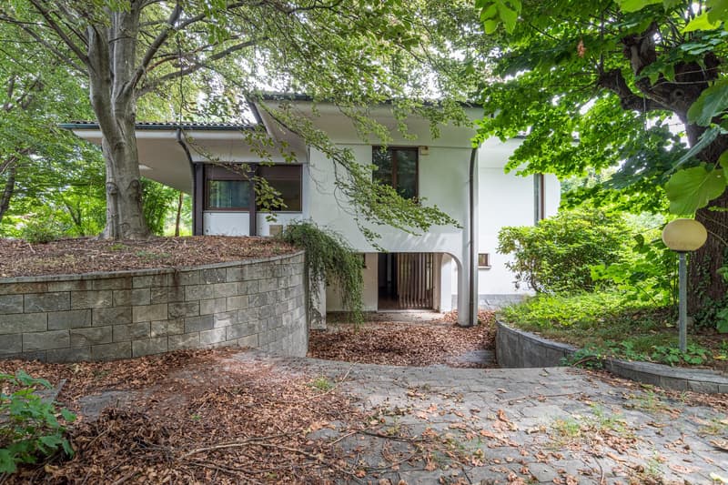 2 story house, white paint, elevated ground floor, tree-lined surroundings