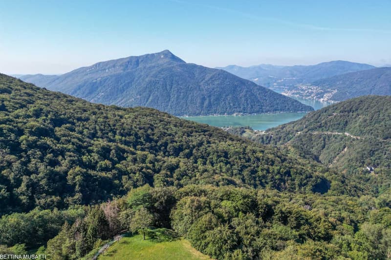 Mountains with a lake in the middle, lots of greenery and a blue sky