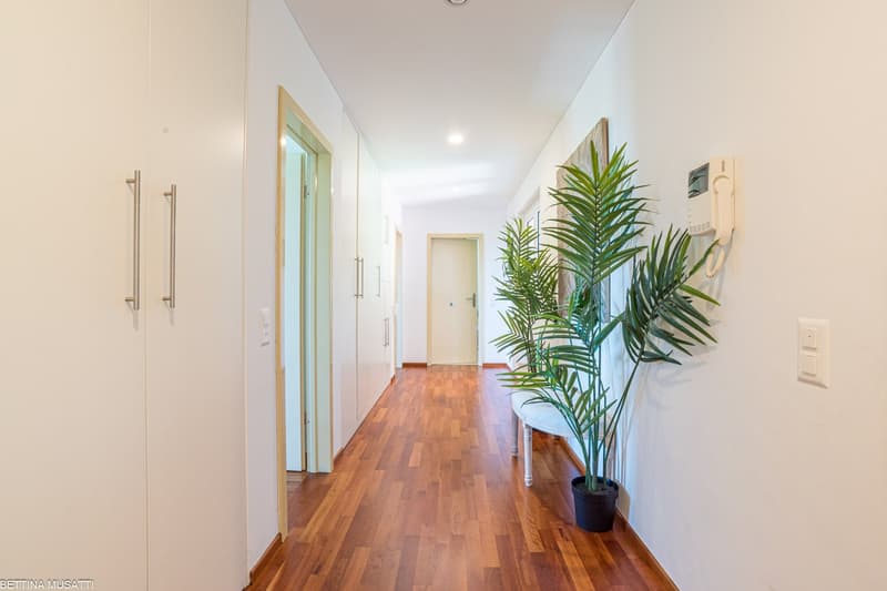 Spacious hallway with hardwood floors, white walls, and large windows. There is a potted palm tree and a small table in the hallway.