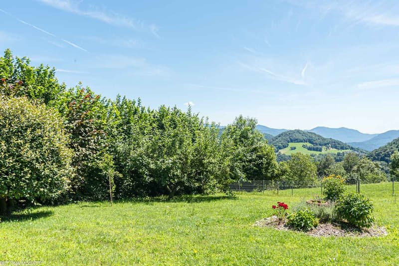 The image shows a scenic rural landscape with a lush green meadow, a row of fruit trees, and mountains in the background. There is a small garden bed with red flowers visible in the foreground.
