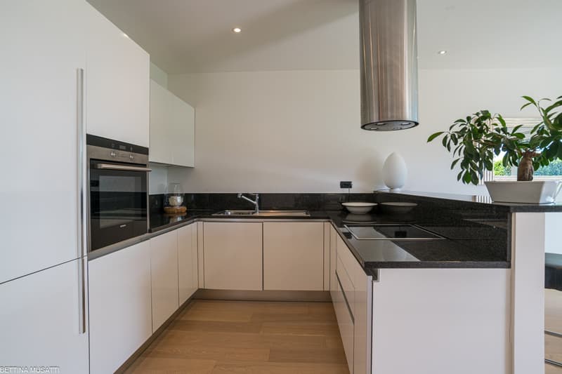 Modern kitchen with white cabinets, black granite countertops, built-in oven and dishwasher, and a potted plant on the counter