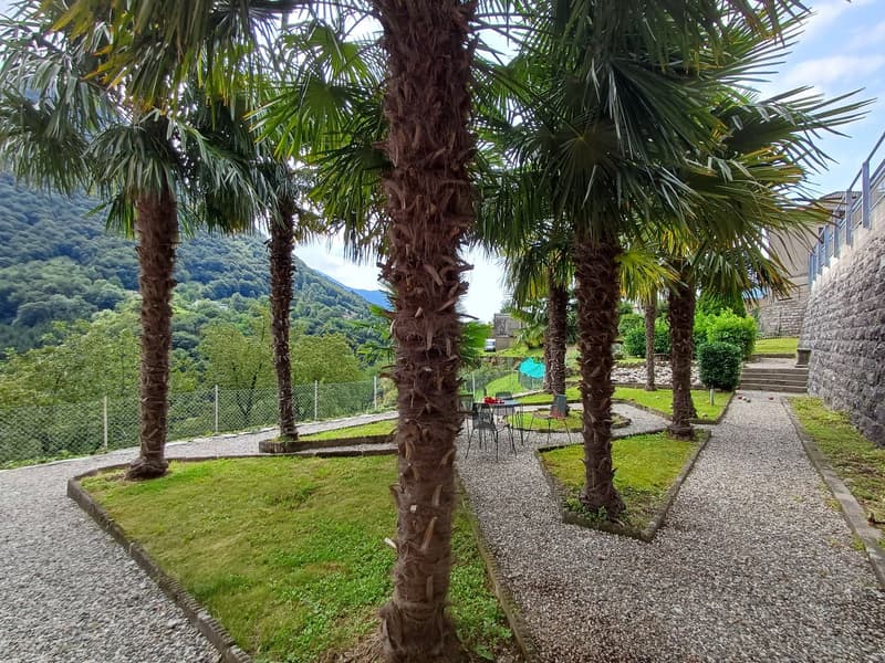 Palm trees, gravel pathway, outdoor dining set, fence, stone wall, distant mountain and forest