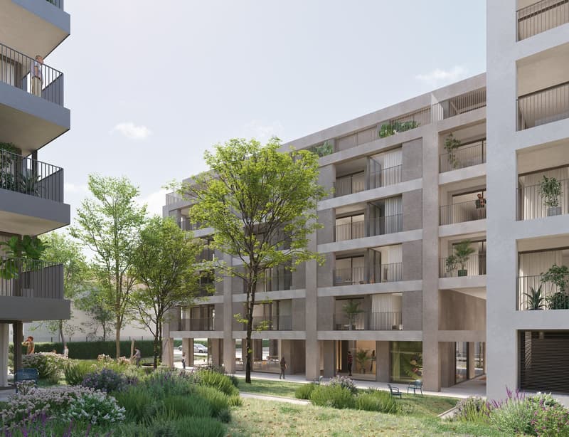 multi-storey building, balconies, greenery, trees, plants, garden, entrance