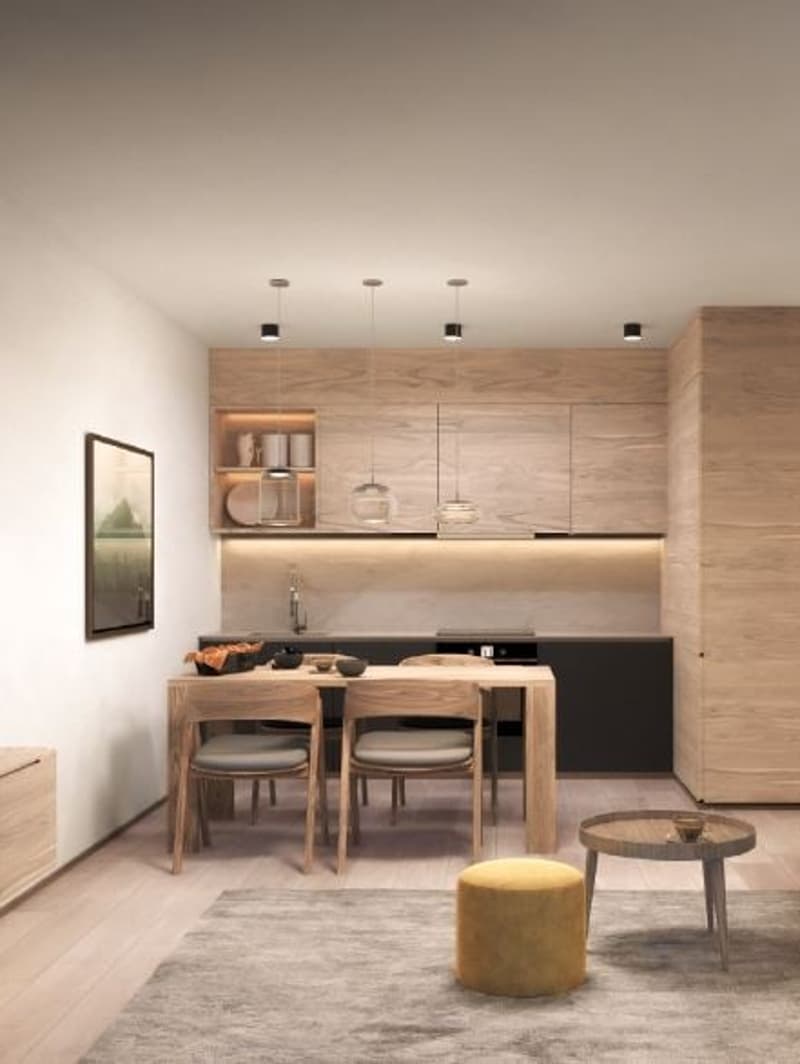Open kitchen and dining area, light wood, modern cabinets, dining table, chairs, coffee table, rug, wall art, open shelving