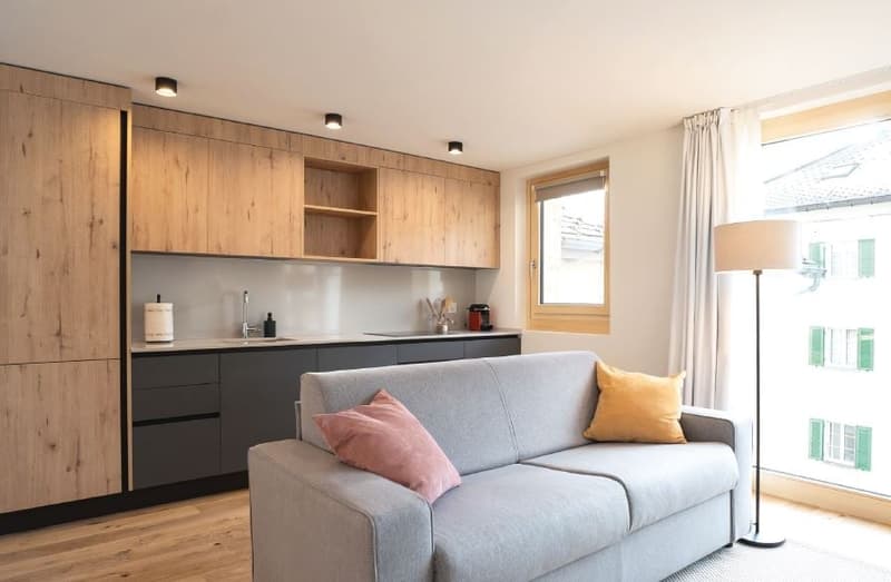modern design, wooden cabinets, open kitchen, sofa with pillows, large window, lamps