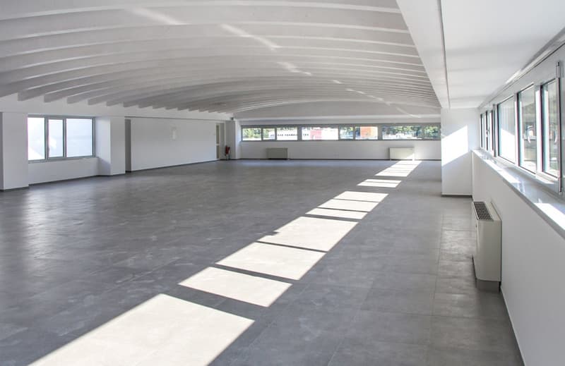 Empty space with windows, arched ceiling, large open area, shadows on the floor from the windows.