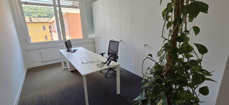 Office room with white desk, office chair, monitor, white wardrobe, plant, carpeted floor, windows with view of buildings and hills