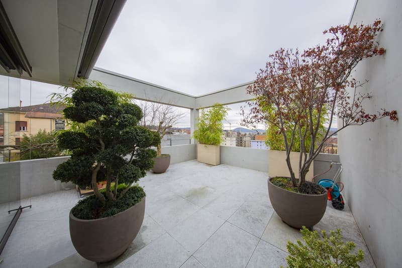 Balcony with tiled floor, large potted plants, and a view of the city
