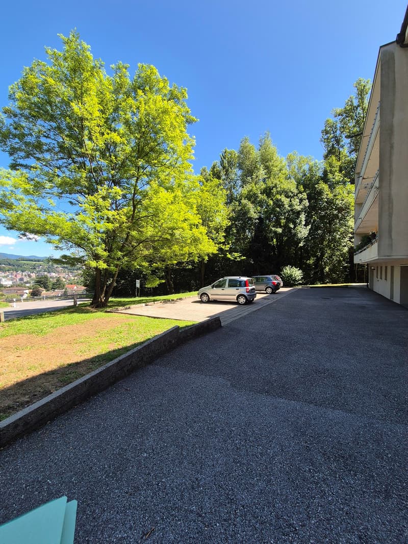 The image shows an outdoor area with a paved parking lot surrounded by lush green trees. The trees have vibrant yellow-green foliage, indicating it is likely springtime. There are a few parked cars visible in the lot. The background suggests a residential