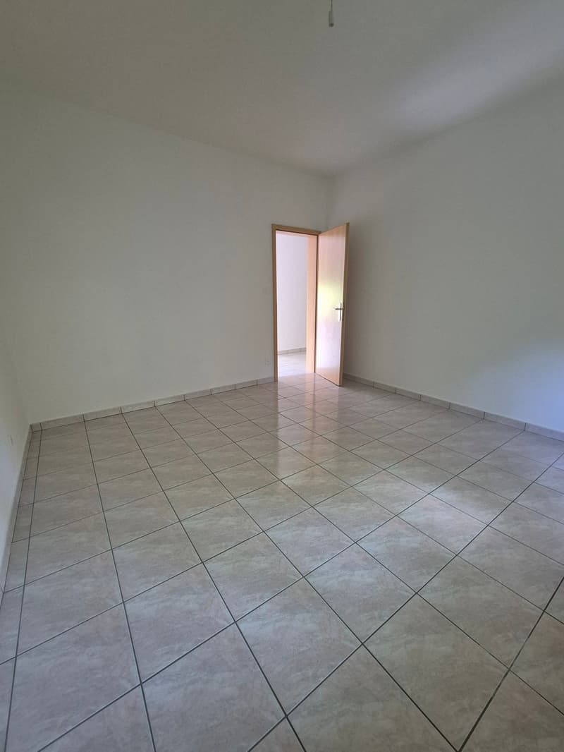 Appartamento 4.5 locali - immerso nel verde (6)