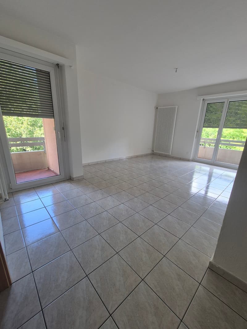 Appartamento 4.5 locali - immerso nel verde (3)