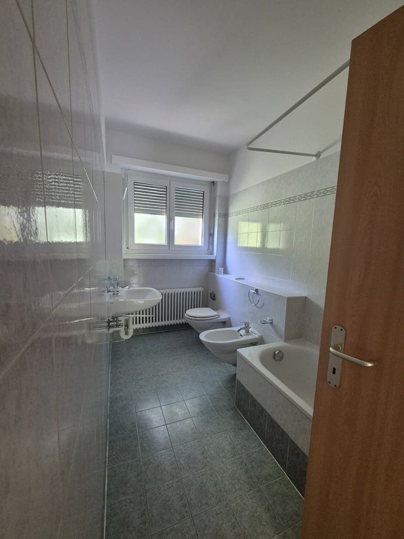 Appartamento 4.5 locali - immerso nel verde (13)