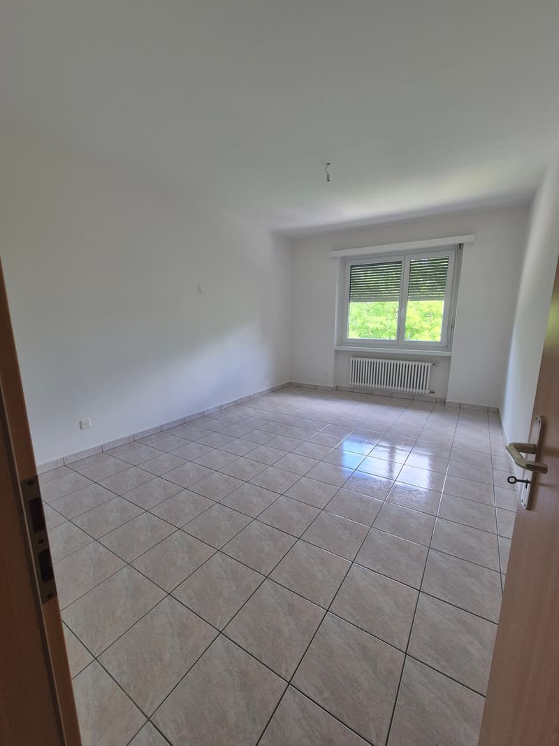 Appartamento 4.5 locali - immerso nel verde (7)