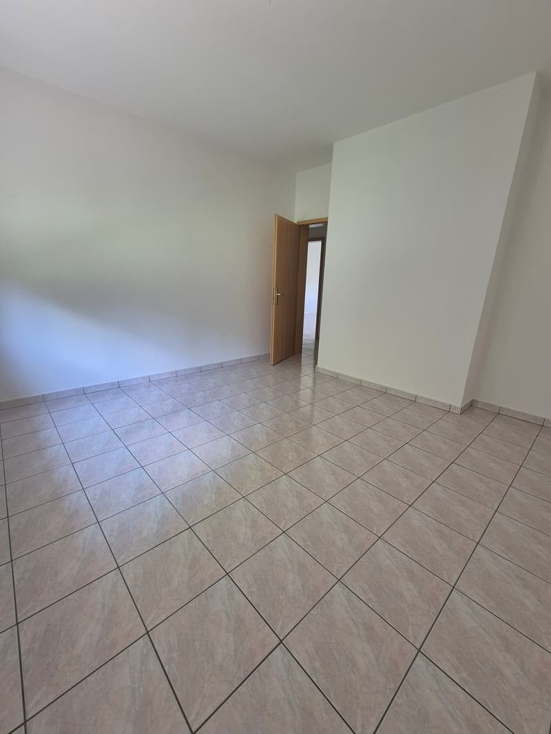 Appartamento 4.5 locali - immerso nel verde (8)