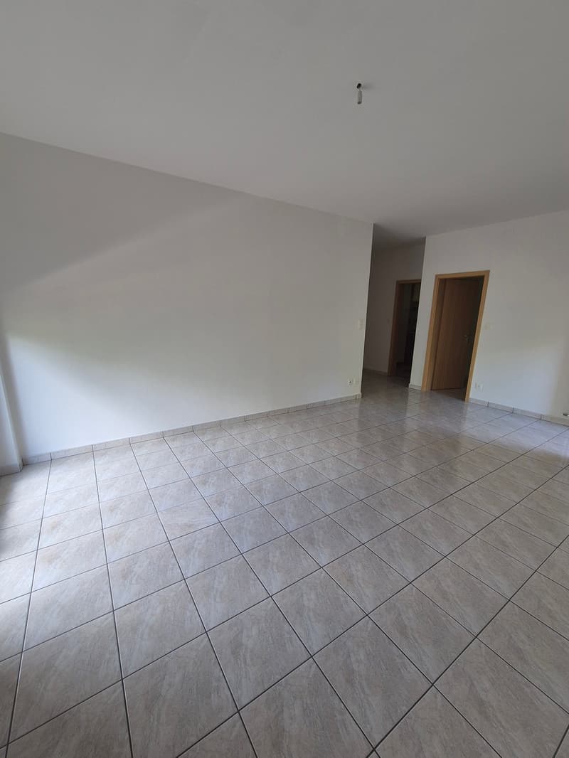 Appartamento 4.5 locali - immerso nel verde (4)