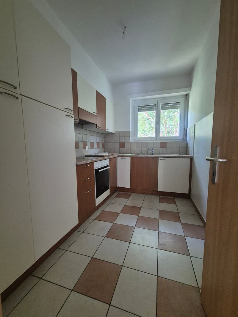 Appartamento 4.5 locali - immerso nel verde (11)