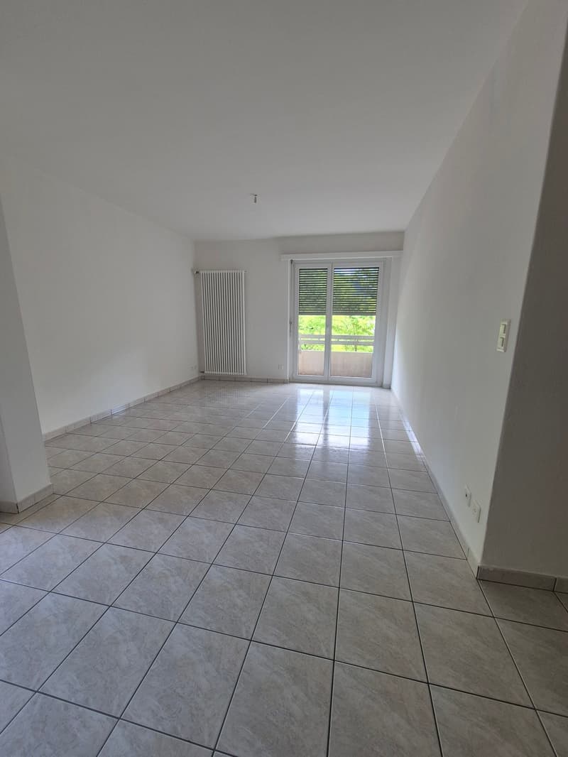Appartamento 4.5 locali - immerso nel verde (5)