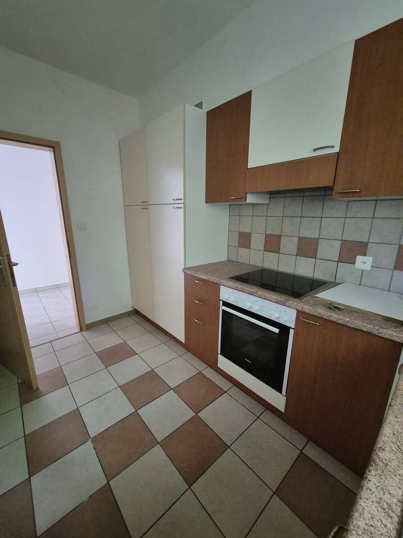 Appartamento 4.5 locali - immerso nel verde (10)