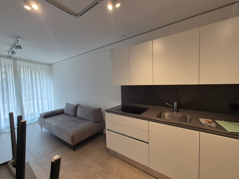 modern and clean apartment kitchen with modern design couch in front of window