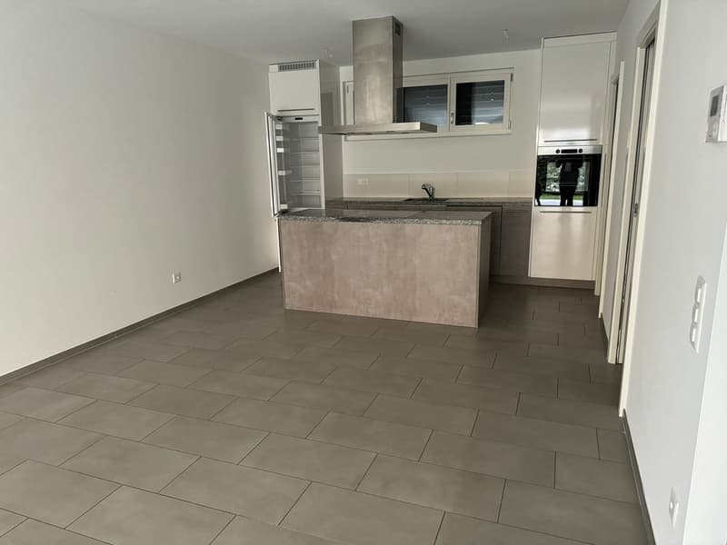 POLLEGIO - Appartamento 4.5 locali (2)