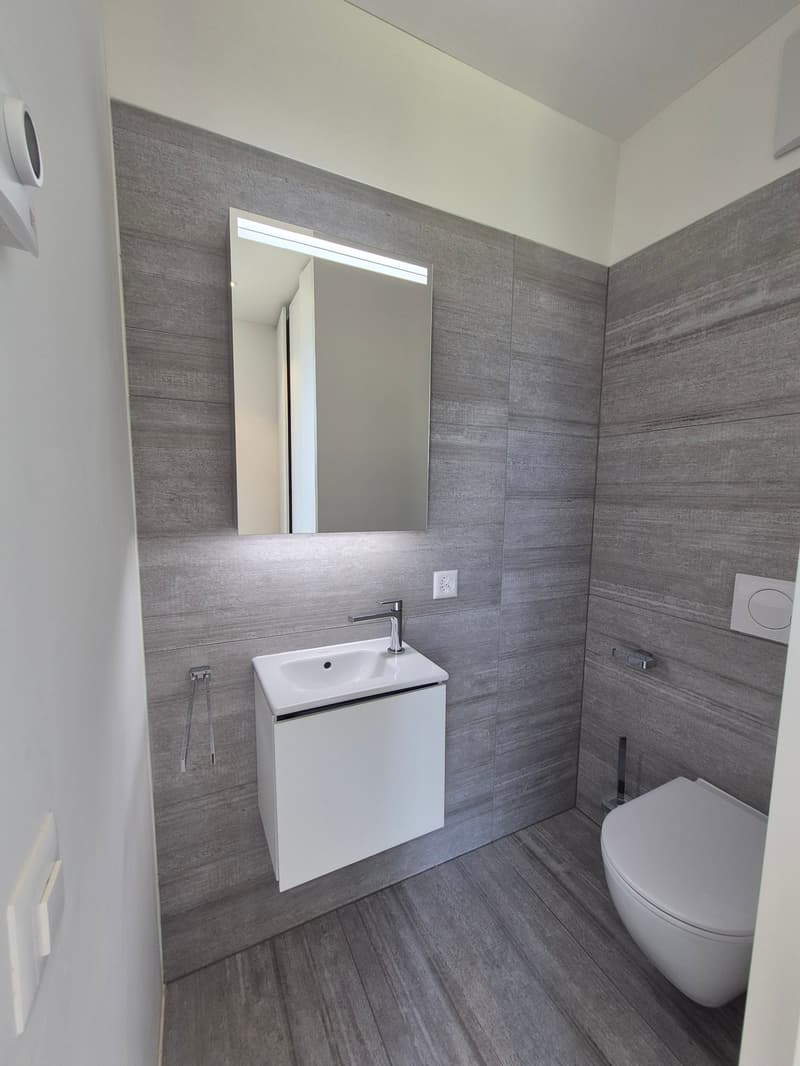 Casa moderna con piscina a Caslano - Disponibile subito (9)