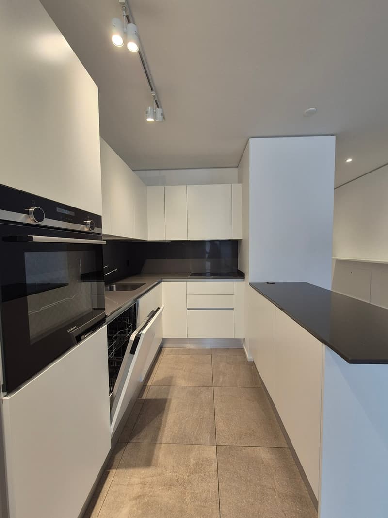 Moderno appartamento 3.5 locali a Sorengo (4)