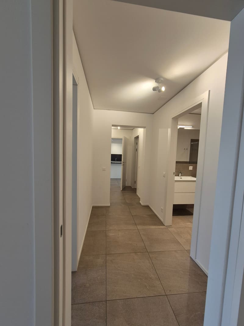 Moderno appartamento 3.5 locali a Sorengo (13)