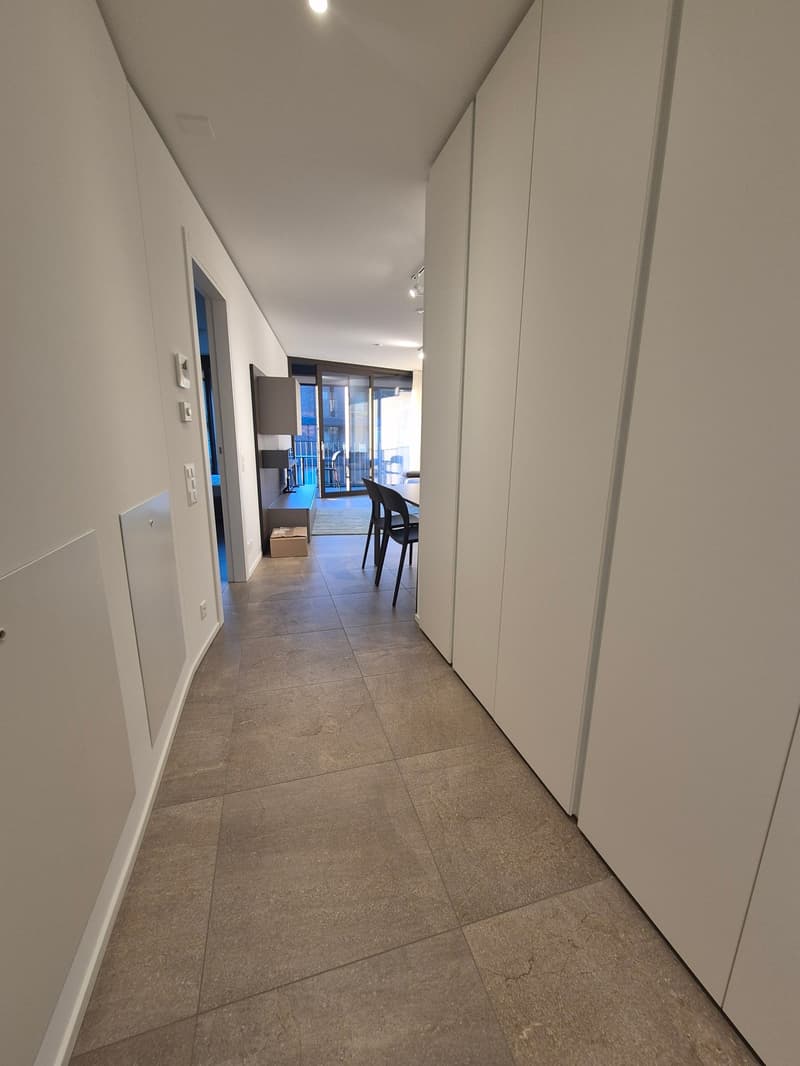 Moderno appartamento 2.5 locali a Sorengo (10)