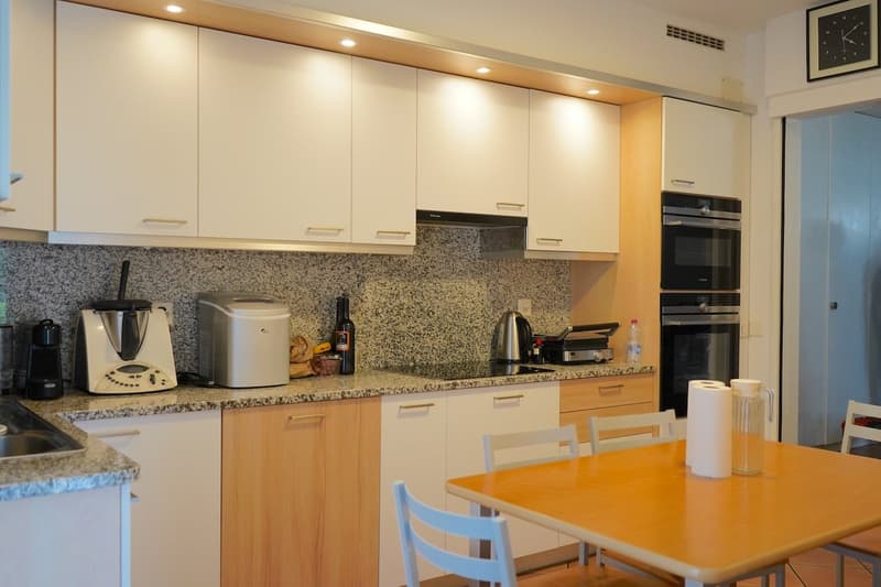 Appartamento 4.5 locali immerso nel verde (5)