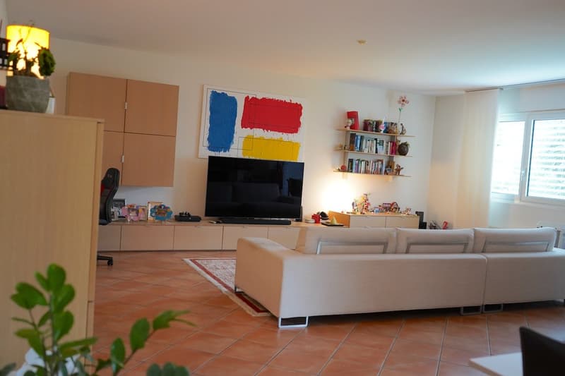 Appartamento 4.5 locali immerso nel verde (3)