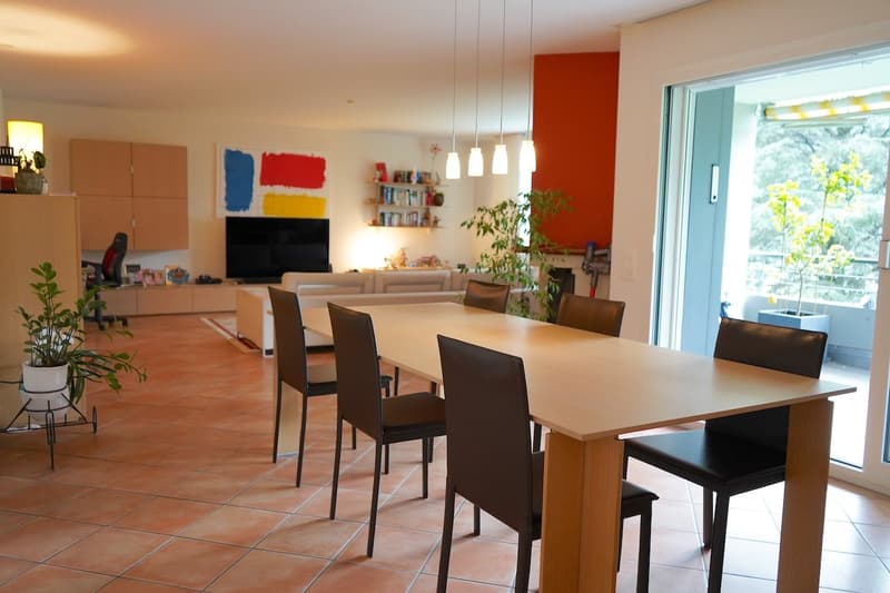 Appartamento 4.5 locali immerso nel verde (2)