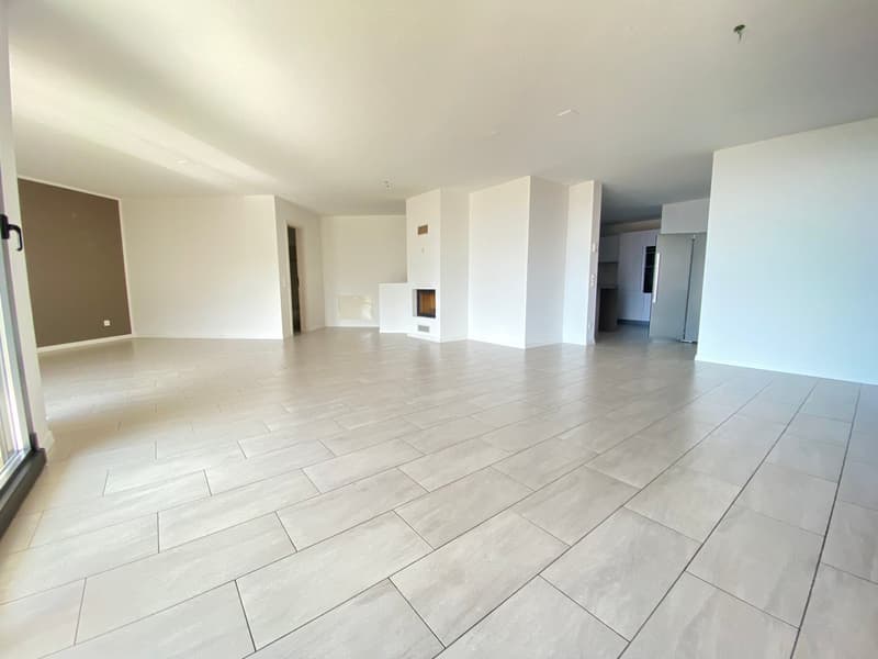 Empty room, tiled floor, white walls, glass door, fireplace
