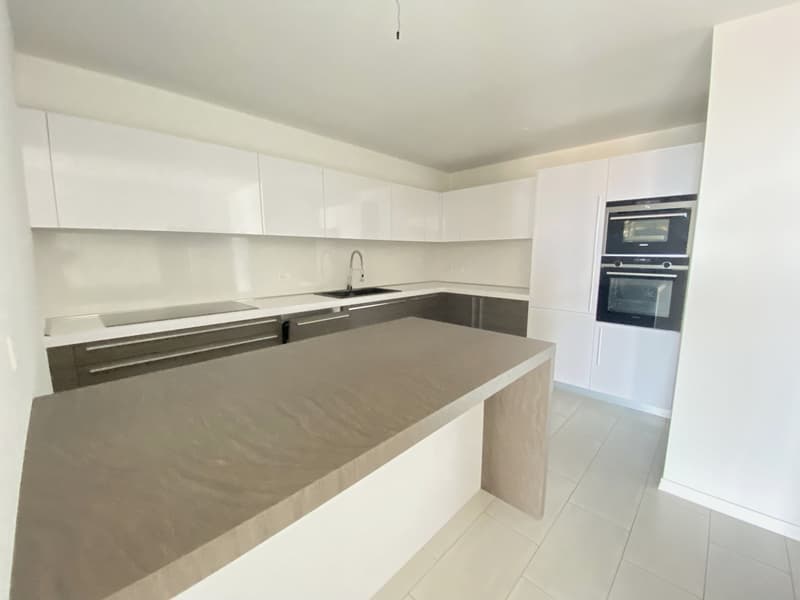 modern kitchen, white cabinets, gray countertops, integrated oven and dishwasher, gas stove, sink, stainless steel appliances