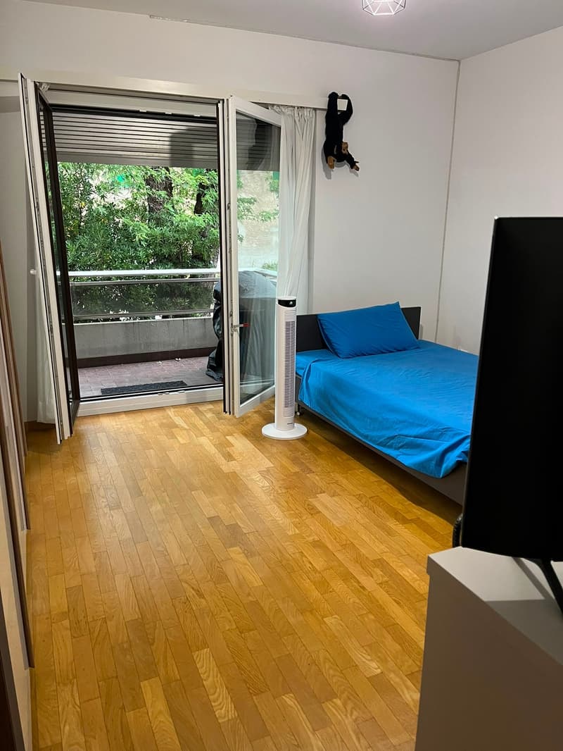 Massagno – Ampio 3.5 locali rinnovato con piscina condominiale (7)